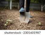 Small photo of The diligent efforts of a farmer as he toils in the garden, utilizing a shovel to turn over the earth during the season of spring