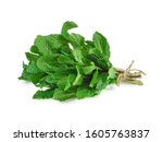 Fresh mint bunch isolated on...