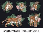 set of silhouette tiger... | Shutterstock .eps vector #2086847011