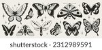 butterfly seventh set of black...