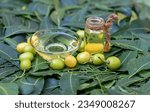 Small photo of Neem Oil or Azadirachta Indica Oil in a Glass Bottle and Bowl with Neem Fruit and Leaves with Copy Space, Also Known as Margosa, Nimtree or Indian Lilac, Uses Ayurvedic