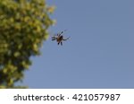 Small photo of Flying spider