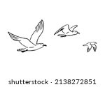 set of flying seagulls. hand... | Shutterstock .eps vector #2138272851