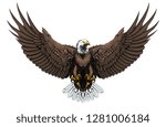 American Bald Eagle Vector...