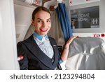 Cheerful female flight attendant standing in airplane cabin