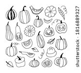 vector set with pumpkins.... | Shutterstock .eps vector #1816889327