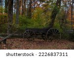 Ano old wagon surrounded by autumn leaves in the Blue Ridge Parkway in Virginia.