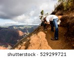 Small photo of October 7, 2016: Kauai, Hawaii. Documentarian taking video of Waimea Canyon on the island of Kauai. Waimea Canyon is often times known as the Grand Canyon of the Pacific.