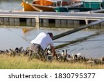 Man Feeding Ducks By The Harbor