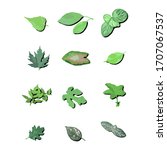 set of natural green leaf plant ... | Shutterstock .eps vector #1707067537