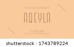 minimal alphabet fonts and... | Shutterstock .eps vector #1743789224