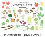  handwritten rough vegetable... | Shutterstock .eps vector #1831669984