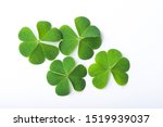 Green clover leaf isolated on white background