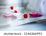 Small photo of Cell Culture and Stem Sell Culture Products tissue culture flaks cell biology laboratory equipment