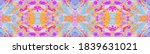 pink and blue ornamenyal... | Shutterstock . vector #1839631021