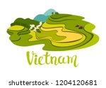 Vietnamese Rice Field Vector...