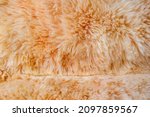 Orange Fur Background Close Up...