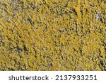 Old Concrete Wall With Yellow...