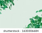 leaf frame on white paper... | Shutterstock . vector #1630306684