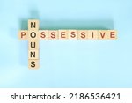 Possessive Nouns Concept In...