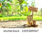 Small photo of Investment on Mutual Funds concept. Coins in a jar with soil and growing plant in nature background.
