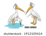 Cute Ibis Bird Animal Cartoon