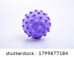 purple colorful bright isolated spiky ball toy, macro