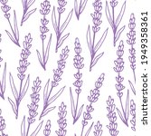 purple lavender flowers vector... | Shutterstock .eps vector #1949358361