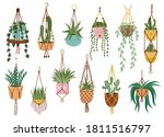 plant in hanging pots.... | Shutterstock .eps vector #1811516797