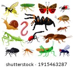 Cartoon Insects. Wood And...