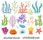 Cartoon Ocean Plants. Anemones  ...