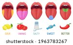 cartoon human taste areas.... | Shutterstock .eps vector #1963783267