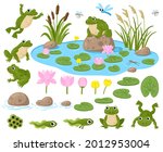 Cartoon frogs. Cute amphibian mascots, frogspawn, tadpoles, green frogs, water lilies, summer pond and insects vector illustration set. Frogs nature habitat. Tadpole cute, baby frog and toad