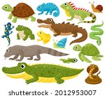 Cartoon Amphibians And Reptiles....