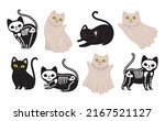 cute black cat. dead kitten ... | Shutterstock .eps vector #2167521127