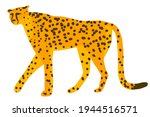  cute cheetah  leopard or... | Shutterstock .eps vector #1944516571