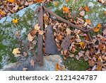 Artifacts from an abandoned colonial town in northwestern Connecticut lay above ground where they were found. The artifacts include a hinge, a plaque, brick facing, and other tools. 