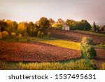 Autumn Country Landscape With...