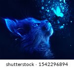 Cat And Butterfly With Blue...