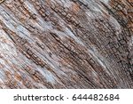 Tree Bark Detail Texture...