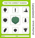 Find The Correct Shadows Game...