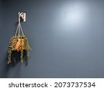 Hanging Planter On A Blue...