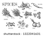 vector illustration of spices... | Shutterstock .eps vector #1322041631