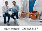 Small photo of Consultation of urologist for male patient with prostatitis. Treatment of men's diseases and prostatitis. Anatomical model of male reproductive system, close-up