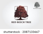 Red Beech Tree Logo Template....