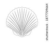clam beach outline vector... | Shutterstock .eps vector #1877709664
