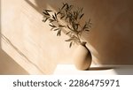 Small photo of Modern summer minimal of olive tree branch in sunlight with long shadows on beige wall background, copy space interior lifestyle Mediterranean scene
