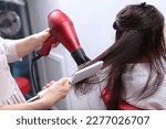 Long hair is styled with a hair dryer. A woman in a beauty salon. Long dark hair.Brush close-up. The concept of beauty salons.