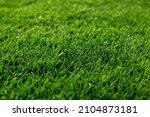 Small photo of Close up image of grass on the football stadium. Lawn clean sward pattern texture for design. Sown planted green field surface for playing golf. Courtyard, meadow, copy space.