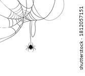 spider web and spider. vector... | Shutterstock .eps vector #1812057151